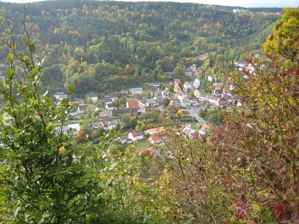 Gaestehaus Krone Oberndorf am Neckar Habitación foto